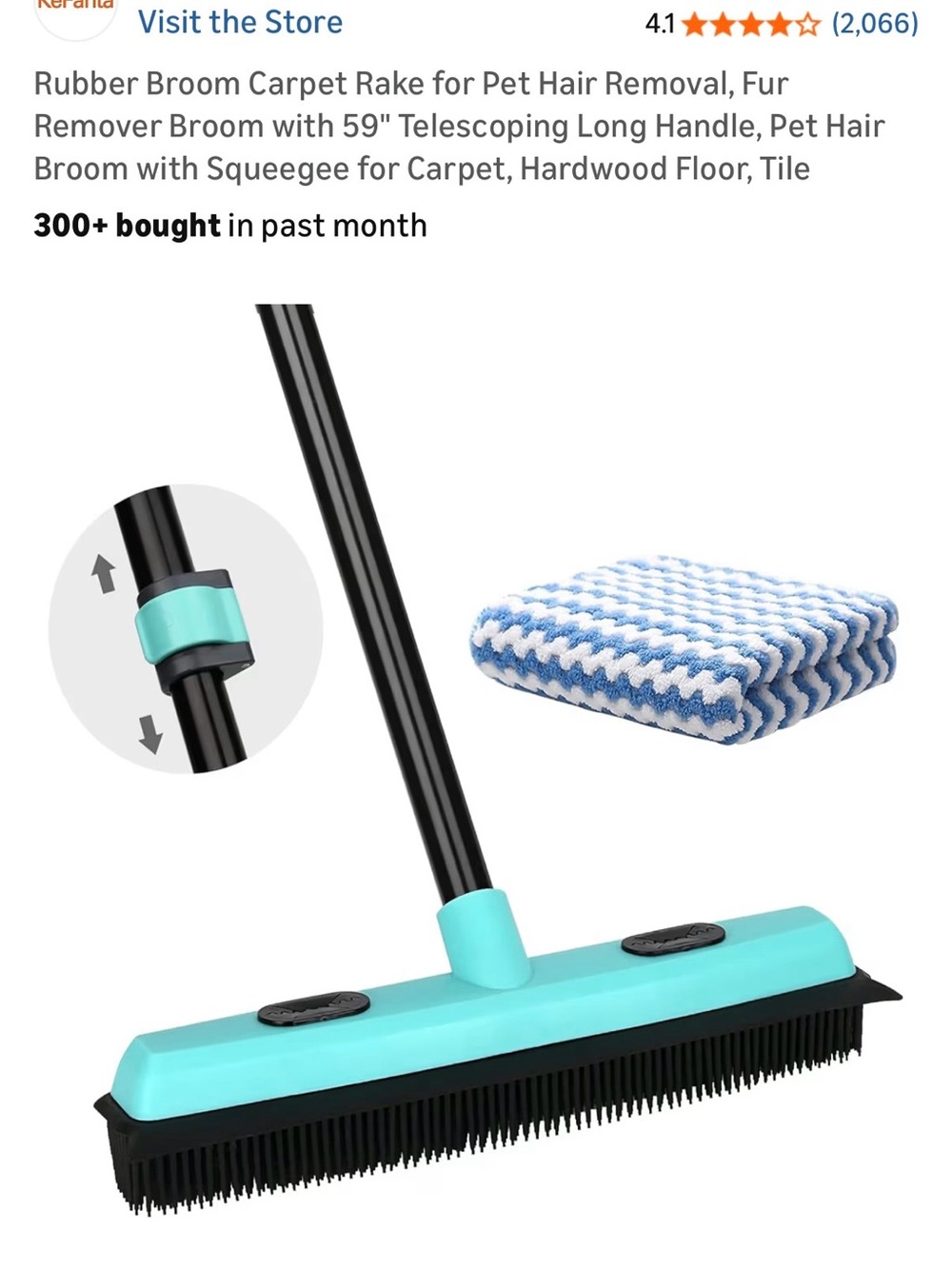 Rubber Broom with Telescoping Handle - Turquoise & Black